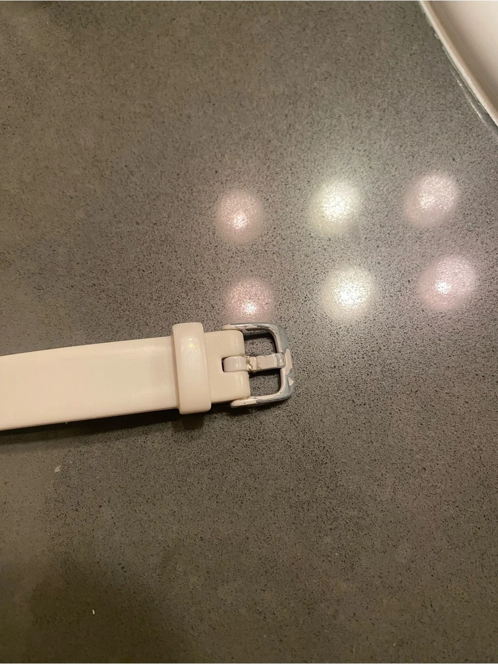 Garmin Lily Smartwatch